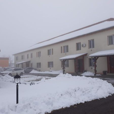 Vila Zoppas Inn Sînnicolau Mare Extérieur photo