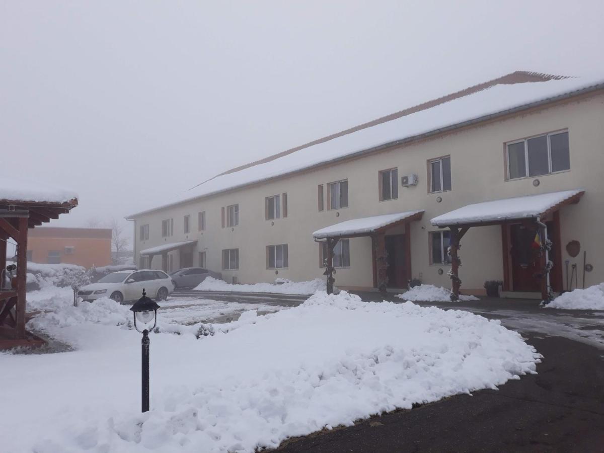 Vila Zoppas Inn Sînnicolau Mare Extérieur photo