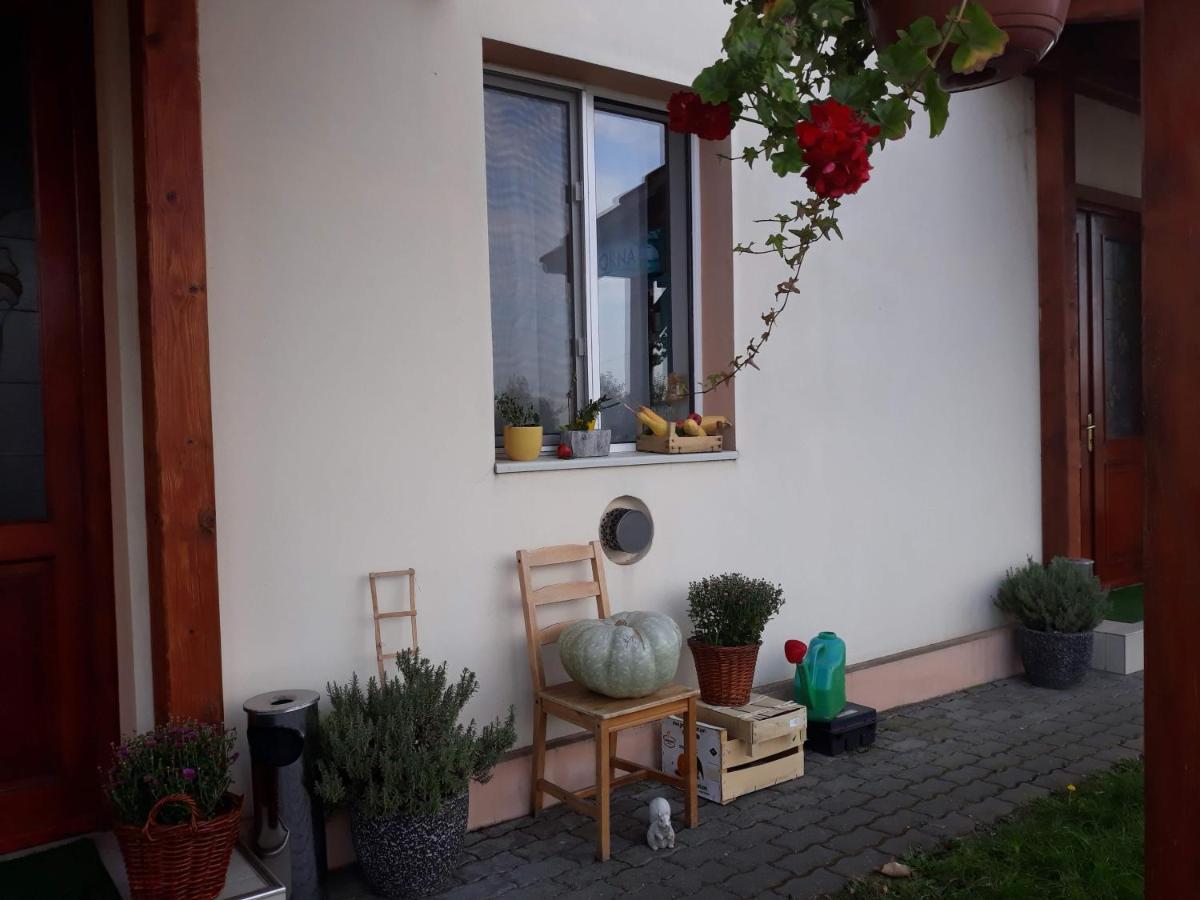 Vila Zoppas Inn Sînnicolau Mare Extérieur photo